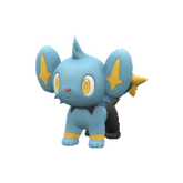 Shinx - Pokestar